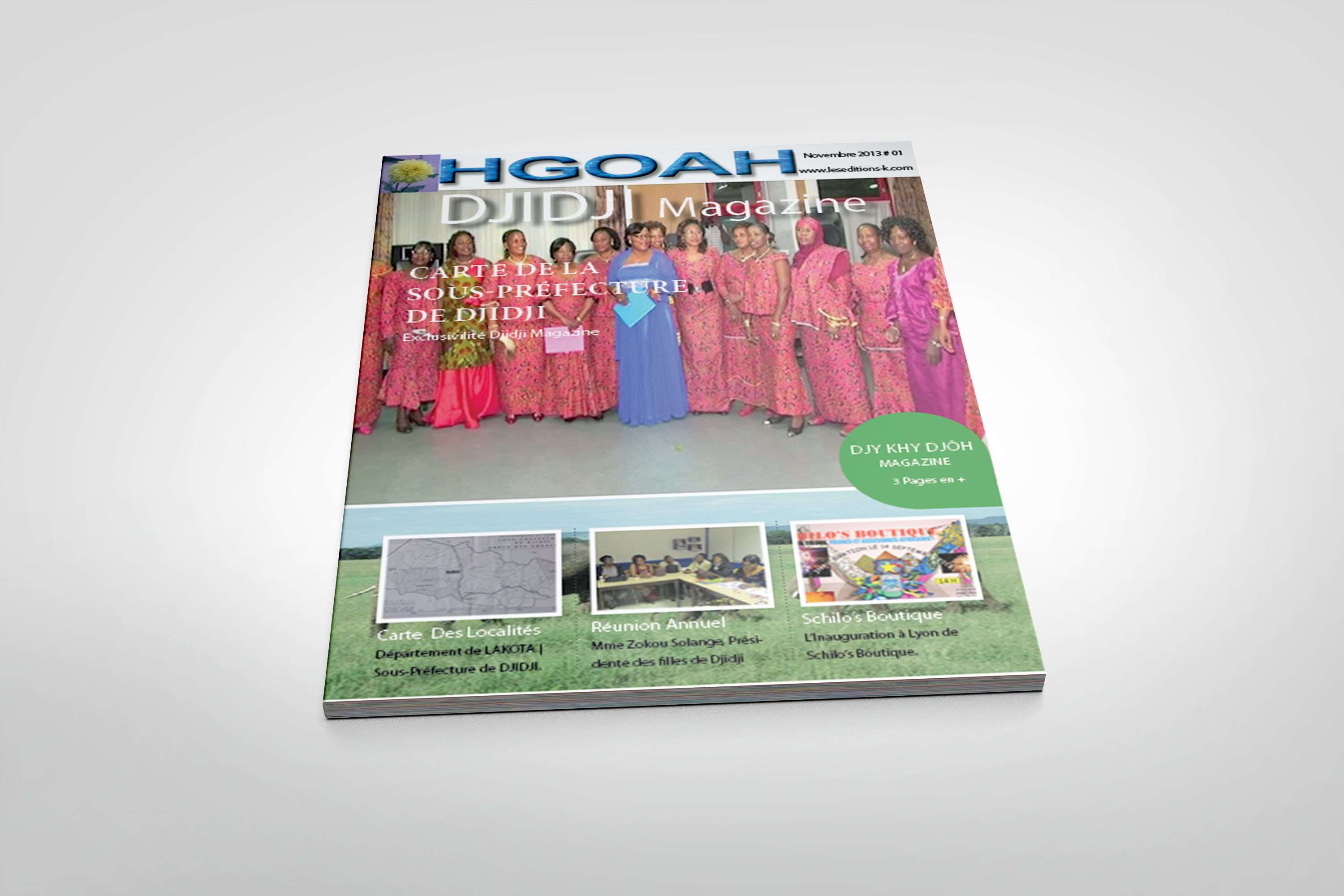 Publication ou affiche 2013
