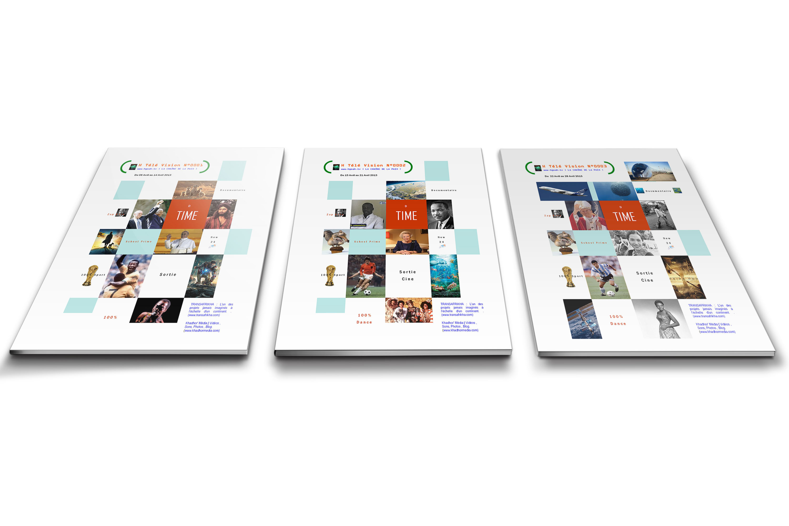 Publication ou affiche 2013